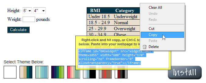 Image of mouse copying code